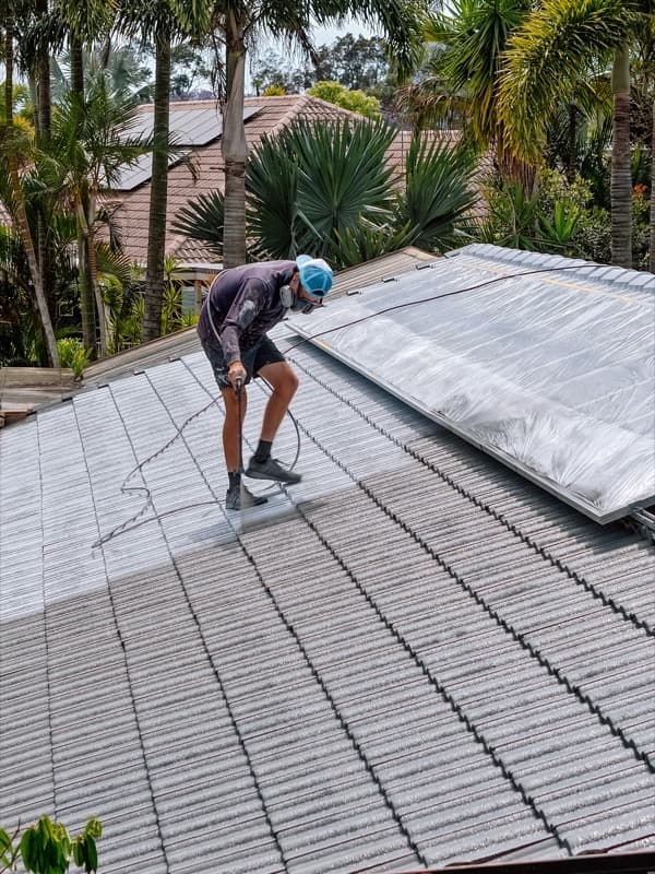 Roof Painting